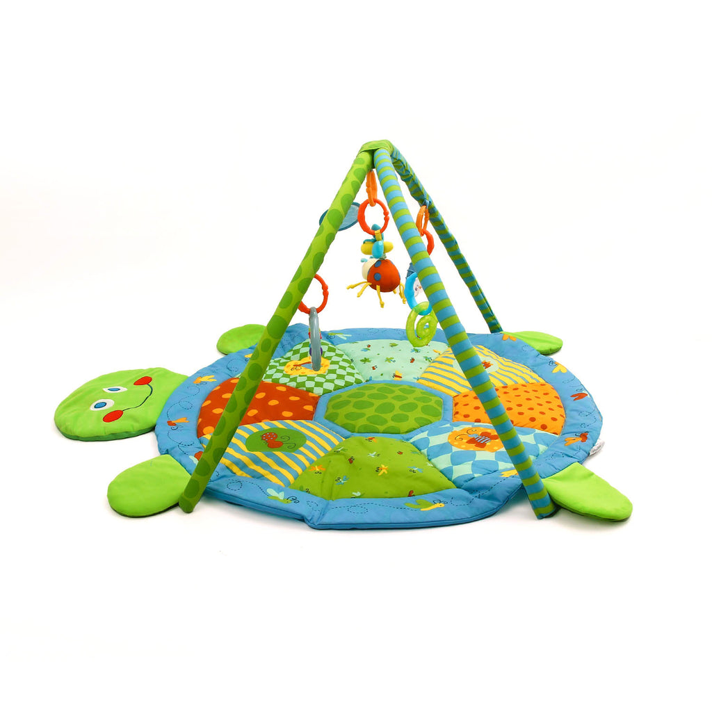 Turtle baby play store gym